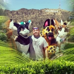 Meet your Posher, Jaime